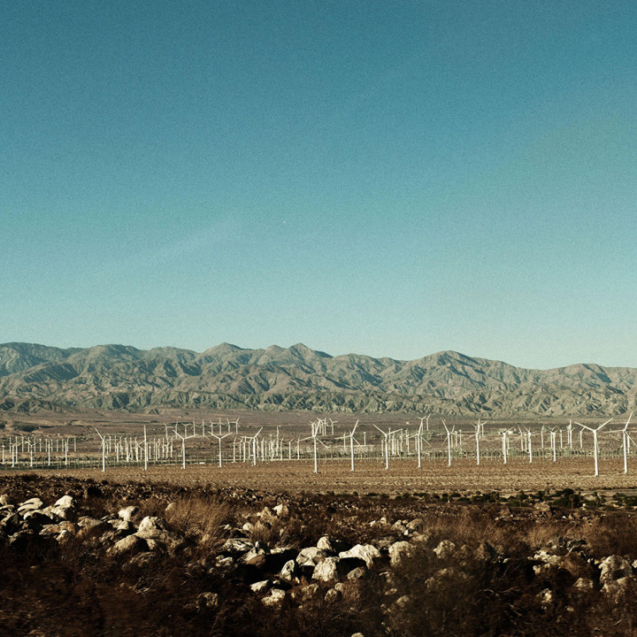 The Joshua Tree